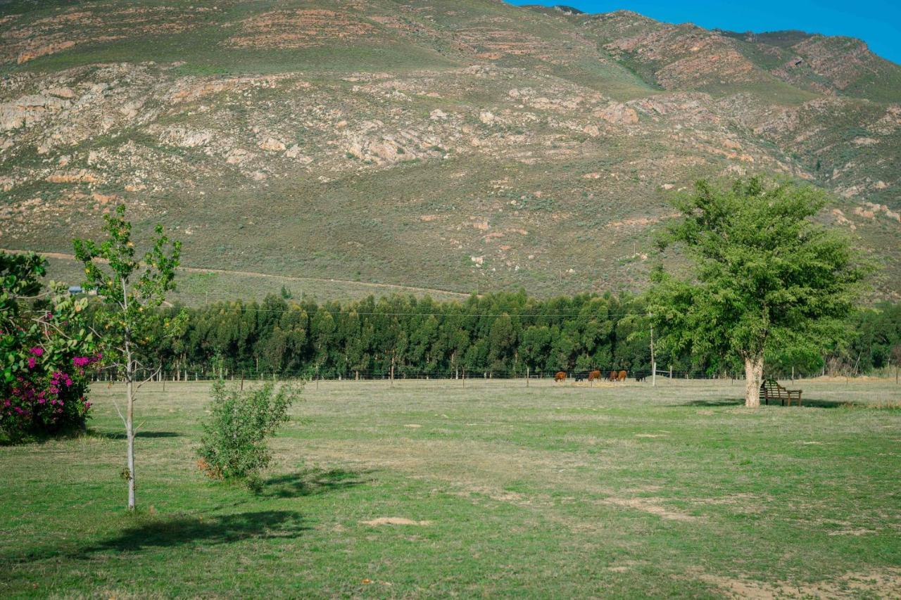Le Reve Boutique Hotel Tulbagh Exterior foto